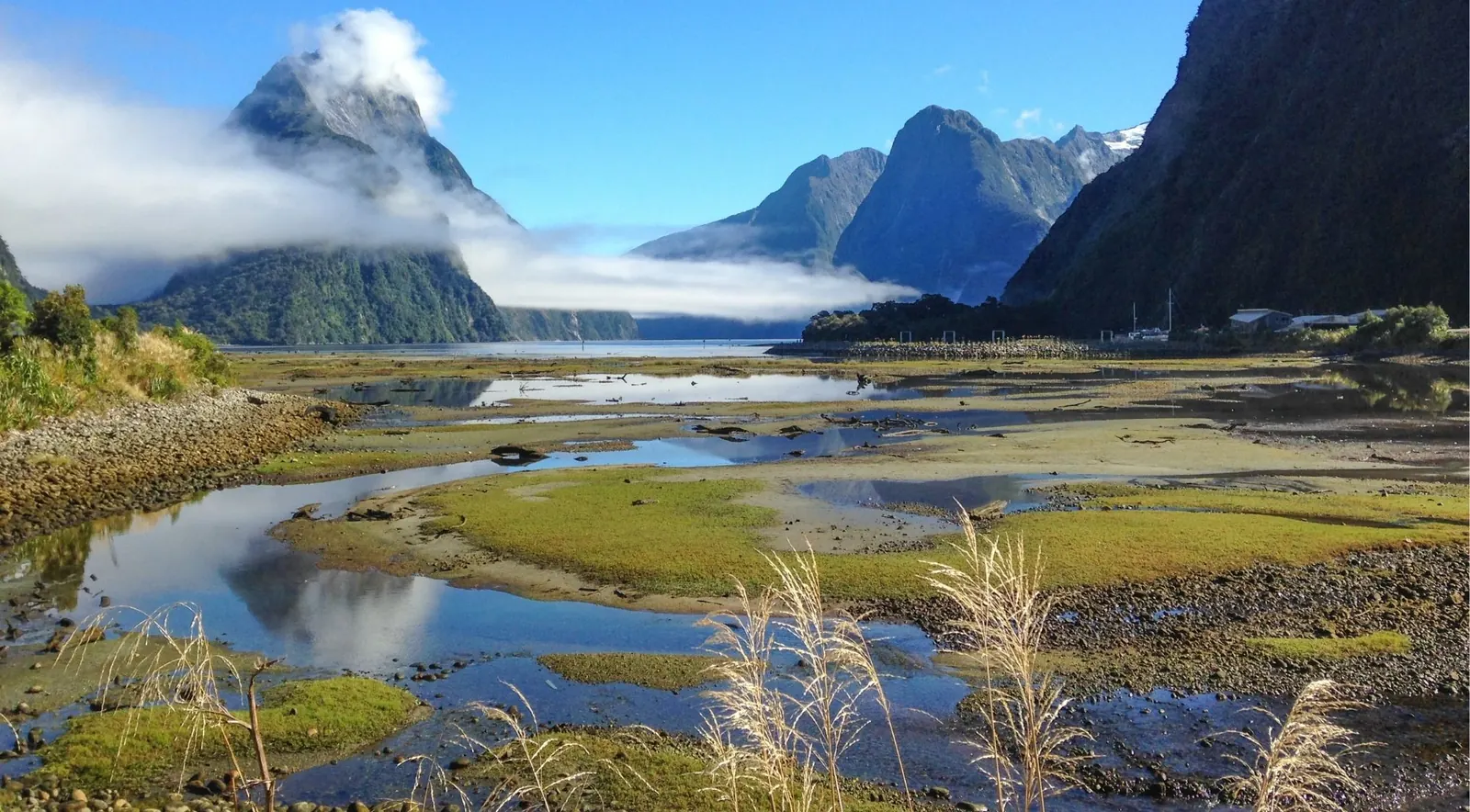 Mitre Peak reflected in the still waters of Milford Sound at low tide