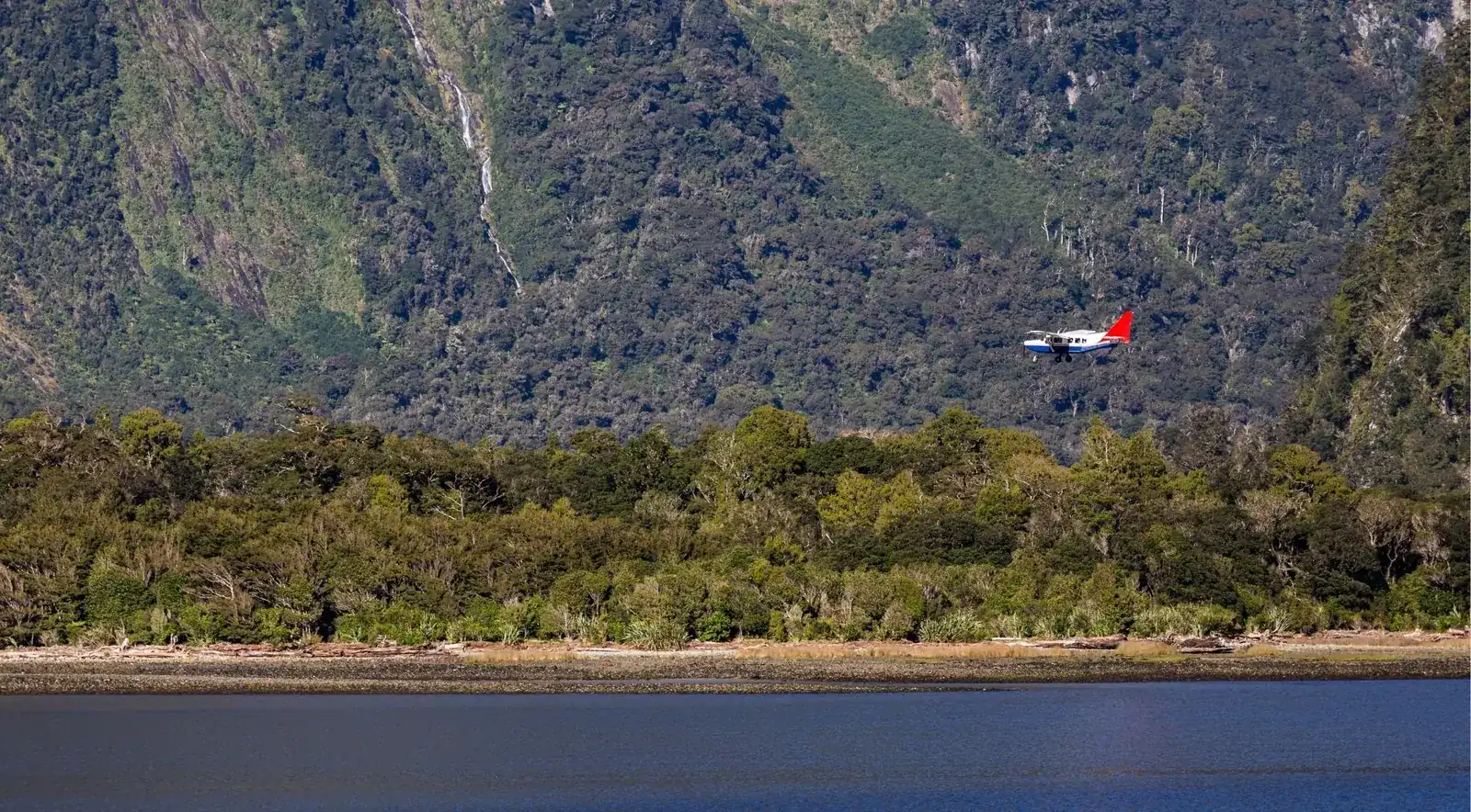 Scenic aircraft flying low over Fiordland National Park near Milford Sound