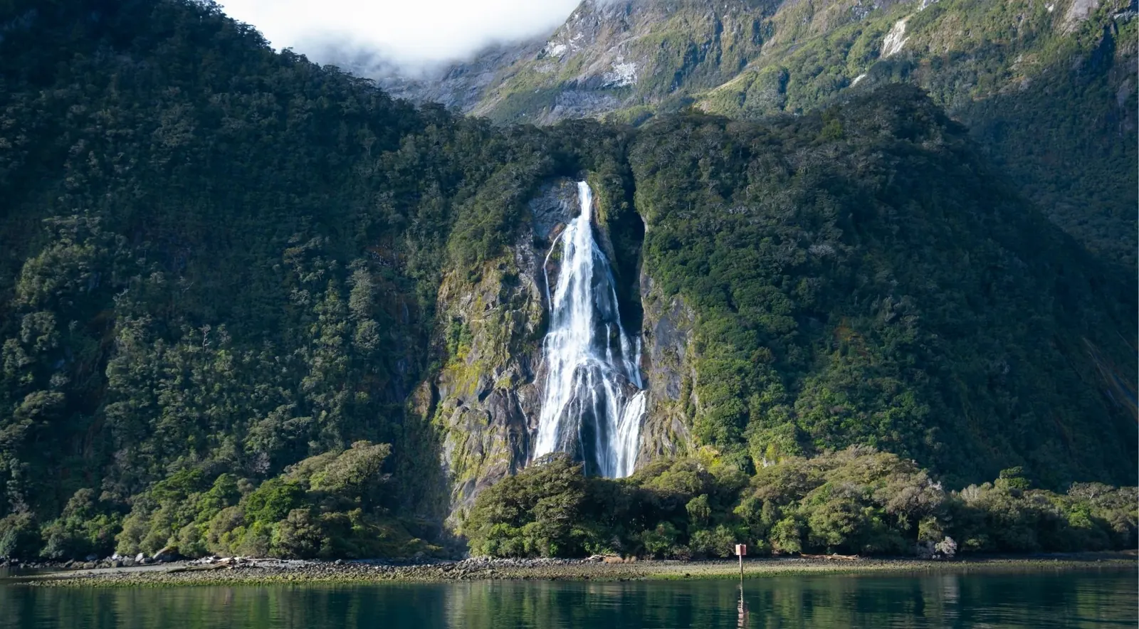 Stirling Falls plunging into Milford Sound from a moss-covered cliff face